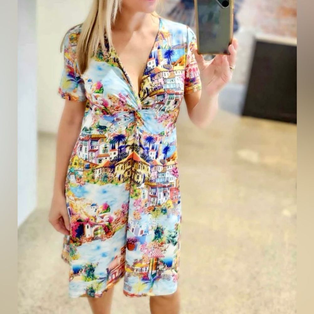 Johnny Was Cannes Multicolor Scenic Print Dress